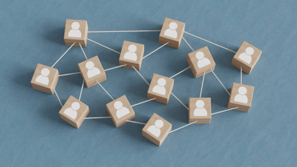 Xentaa dashboard overview